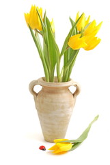Tulpen in der vase