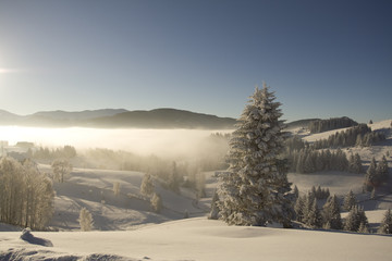 Winter mountain  Landscape