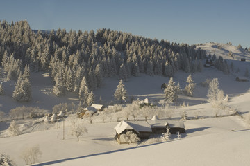 Winter mountain  Landscape