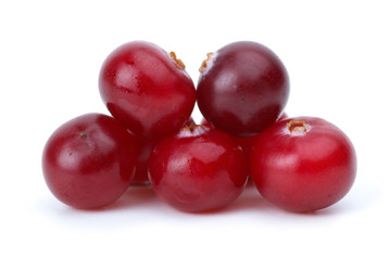 Close-up shot of some cranberries