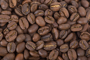 Coffee beans background