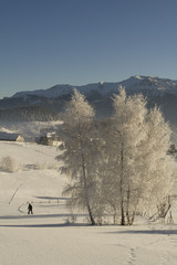 Winter mountain  Landscape
