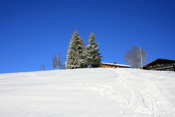 Fototapeta na wymiar Sonnenbaden vor der Berghütte II