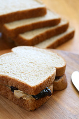 Peanut Butter and Jelly Sandwich