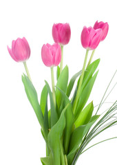 five pink tulips bouquet