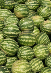 Watermelons in a marketplace
