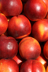 Nectarines background