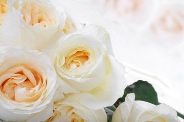 White roses with yellow centers