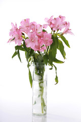 Vase of pink lilies
