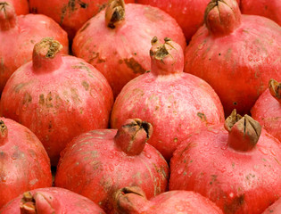 Pomegranate 1