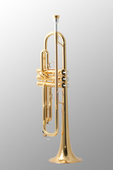 gold trumpet