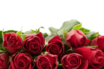 bouquet of red roses on white background