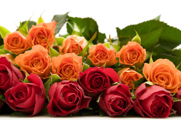 bouquet of colorful roses on white background
