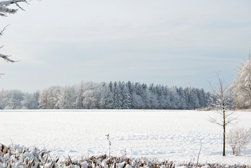 Winterlandschaft