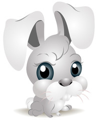 Baby Bunny