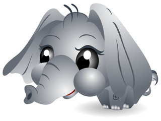 Baby Elephant
