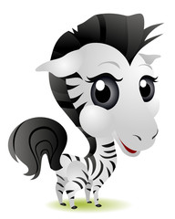 Young Zebra