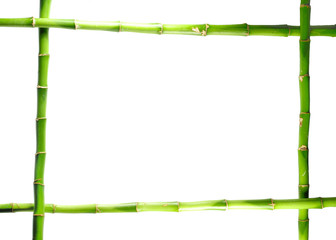 bamboo frame isolated