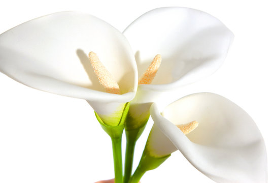 blumenstrau&szlig;