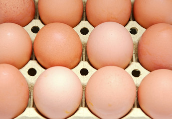 Eggs