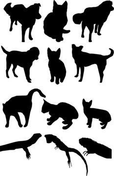 Dog cat lizard vector silhouettes