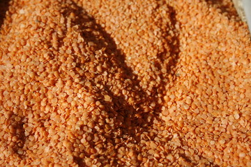 Lentils