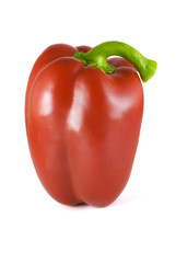 Red pepper on white