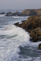 Côte sauvage Bretonne
