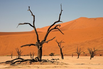 Death Vlei