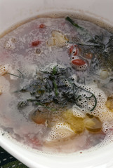 Minestra di finocchio forte - Primi - Cucina istriana