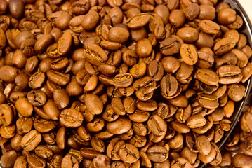 grain of coffee
