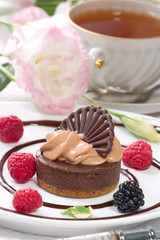 Chocolate cheesecake