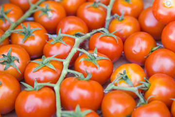 tomatos in vegetable market