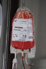 transfusion