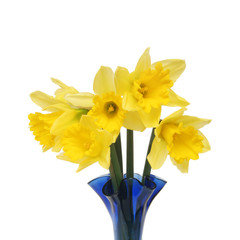 Daffodils