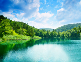 green water lake in forest