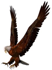 Eagle Attack