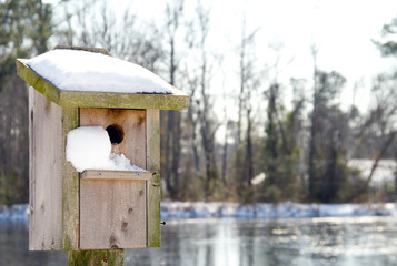 A Birdhouse in the Snow