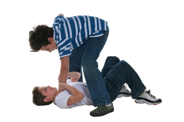 Little Friends Fight