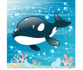 Rolgordijnen Baby orka © ddraw