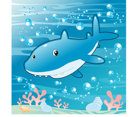 Obraz premium Baby Shark