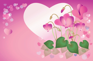 Spring background with cyclamens