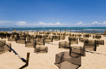 Obraz premium Beach