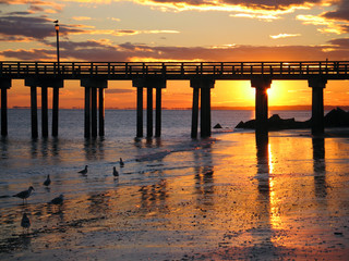 Decline to Brighton-scourge