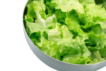 Lettuce in a bowl