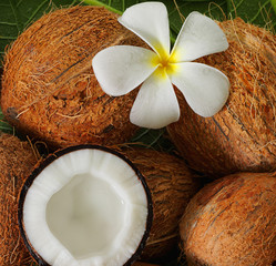 coconuts