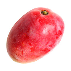 mangue rouge, détourée sur fond blanc