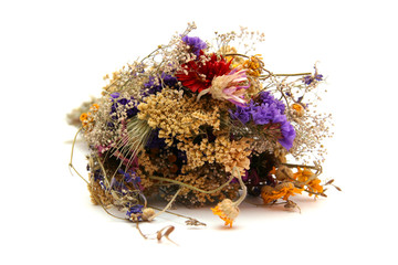 Naklejka premium Dried fllowers
