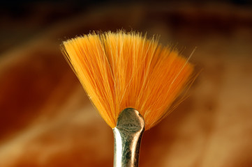 Head of cosmetic brush in macro view