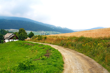 Obraz premium Sunny Road